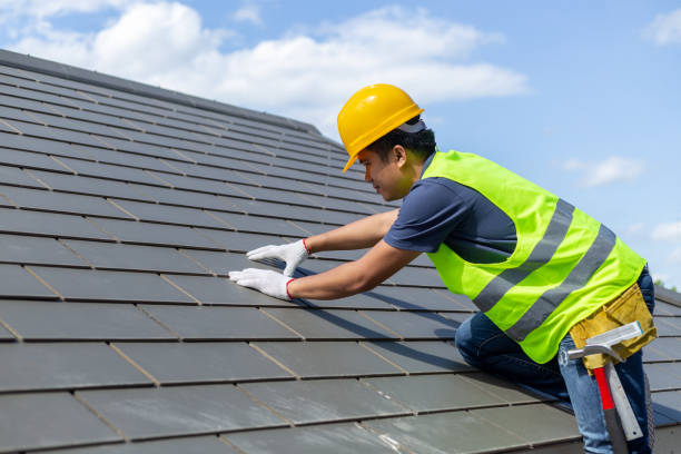 Best Roof Maintenance Services  in Mount Zion, IL