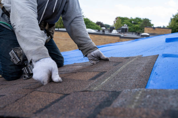 Best New Roof Installation  in Mount Zion, IL
