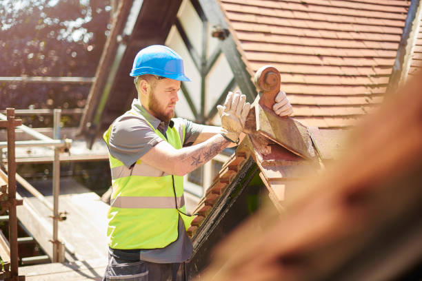 Best New Roof Installation  in Mount Zion, IL